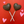 Load image into Gallery viewer, Valentines Pop
